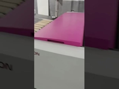 কম্পিউটার প্লেট তৈরির জন্য 1130*880mm UVCTP CTCP প্রিন্টিং মেশিন